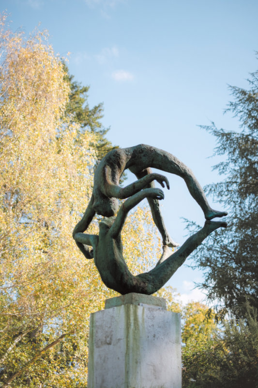 _DSF6293